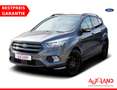 Ford Kuga 1.5 EB 4x4 Automatik ST-Line Navi PDC AWD Grau - thumbnail 1
