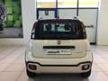 Fiat Panda Panda Cross 1.0 FireFly S&S Hybrid MY21 Wit - thumbnail 7