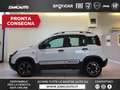 Fiat Panda Panda Cross 1.0 FireFly S&S Hybrid MY21 Wit - thumbnail 1