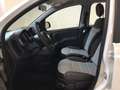 Fiat Panda Panda Cross 1.0 FireFly S&S Hybrid MY21 Wit - thumbnail 15