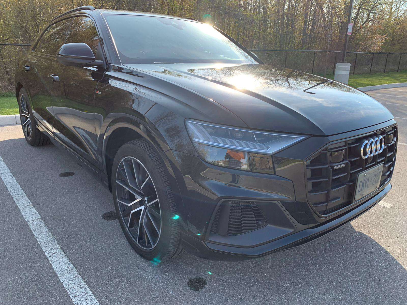 2019 Audi Q8 Technik 55 TFSI quattro