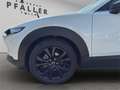 Mazda CX-30 e-Skyactive G140 Homura Aut. Weiß - thumbnail 15