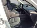 Mazda CX-30 e-Skyactive G140 Homura Aut. Weiß - thumbnail 9