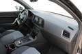 CUPRA Ateca 2.0 TSI 300 HP TRIBE EDITION 4WD AUTOMATICA DSG Nero - thumbnail 12