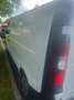 Fiat Talento Talento L1H1 3,0t 1,6 EcoJet Twin-Turbo 125 Basis Basis Weiß - thumbnail 7