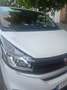 Fiat Talento Talento L1H1 3,0t 1,6 EcoJet Twin-Turbo 125 Basis Basis Weiß - thumbnail 1