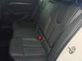 Skoda Octavia Combi 2,0 TDI Style DSG Weiß - thumbnail 11