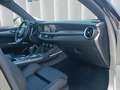 Alfa Romeo Stelvio Stelvio 2.2 Turbodiesel 210 CV AT8 Q4 Veloce Noir - thumbnail 22