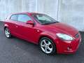 Kia Ceed / cee'd Cee'd 1.6 CRDi VGT 115CV 3P *NEOPATENTATI* Rouge - thumbnail 1
