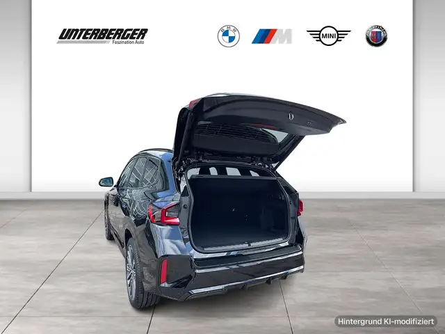BMW X1 view 12