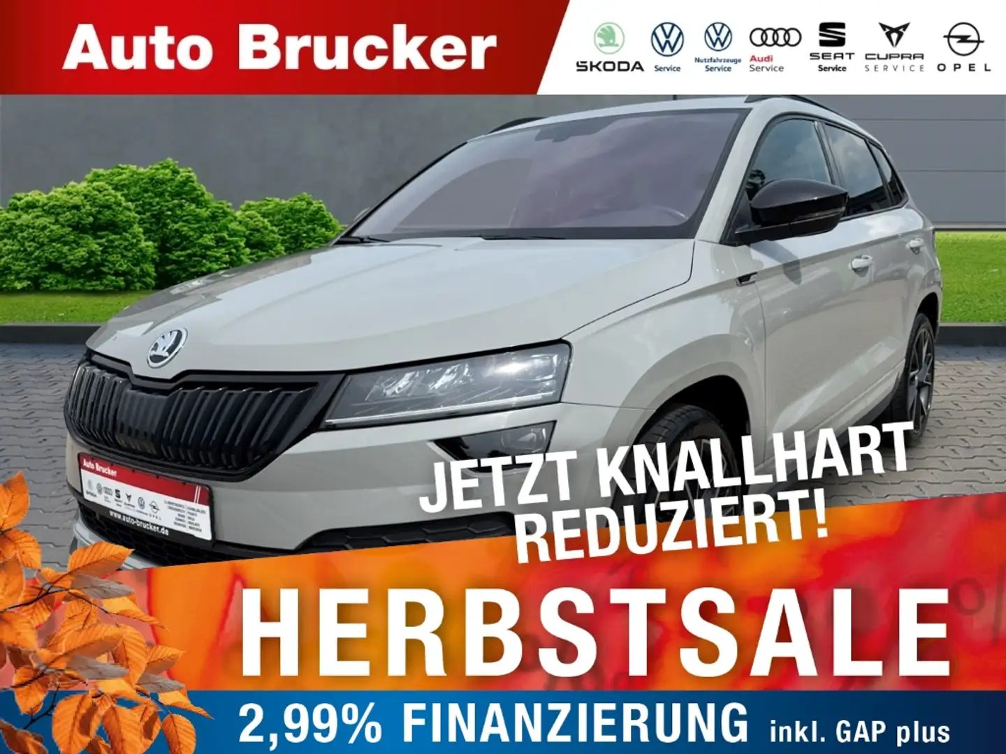 Skoda Karoq Sportline 4x4 2.0 TSI+Standheizung+Anhängerkupplun Grau - 1