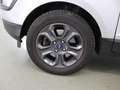 Ford EcoSport 1.0 EcoBoost Trend Ultimate | Navigatie | Parkeerc Grijs - thumbnail 36