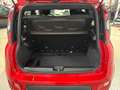 Fiat Panda Panda 1.0 FireFly S&S Hybrid Sport Rosso - thumbnail 9