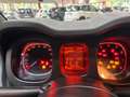 Fiat Panda Panda 1.0 FireFly S&S Hybrid Sport Rosso - thumbnail 5
