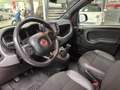 Fiat Panda Panda 1.0 FireFly S&S Hybrid Sport Rosso - thumbnail 12