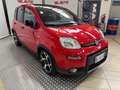 Fiat Panda Panda 1.0 FireFly S&S Hybrid Sport Rosso - thumbnail 2