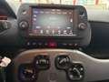 Fiat Panda Panda 1.0 FireFly S&S Hybrid Sport Rosso - thumbnail 13