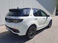 Land Rover Discovery Sport R-Dynamic SE AWD Black Pack, Winterpaket, Sound... Alb - thumbnail 4
