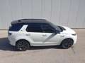 Land Rover Discovery Sport R-Dynamic SE AWD Black Pack, Winterpaket, Sound... Weiß - thumbnail 5