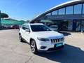 Jeep Cherokee Cherokee 2.2 Mjt AWD Active Drive I Limited Bianco - thumbnail 1