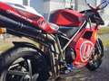 Ducati 916 biposto Rojo - thumbnail 2