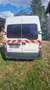 Opel Movano Movano 2.5 CDTI L1H2 Tecshift Weiß - thumbnail 4