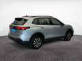 Volkswagen Tiguan Life TDI DSG 4M *STDHZ*AHK*NAVI*ACC*DCC* Silber - thumbnail 7