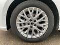 SEAT Ibiza Xcellence 1.0TSI ACC LED NAVI RFK SHZ VIRT Bianco - thumbnail 11