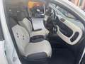 Fiat Panda Fiat Panda 1.2 Easy clima stereo 5 posti Blanc - thumbnail 12