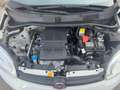 Fiat Panda Fiat Panda 1.2 Easy clima stereo 5 posti Blanc - thumbnail 16