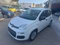 Fiat Panda Fiat Panda 1.2 Easy clima stereo 5 posti Blanc - thumbnail 1