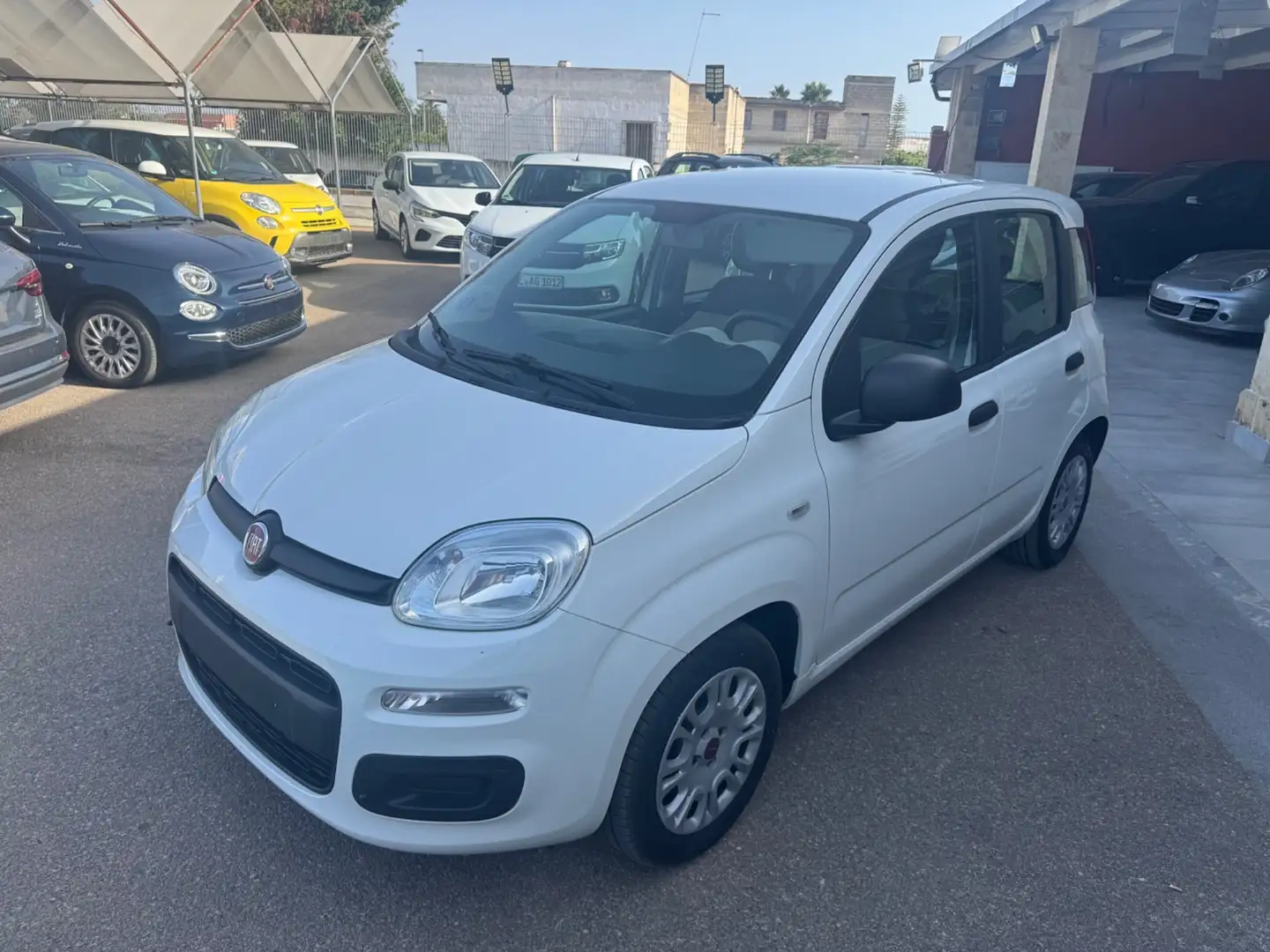 Fiat Panda Fiat Panda 1.2 Easy clima stereo 5 posti Blanc - 1