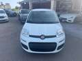 Fiat Panda Fiat Panda 1.2 Easy clima stereo 5 posti Blanc - thumbnail 2