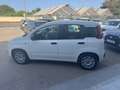 Fiat Panda Fiat Panda 1.2 Easy clima stereo 5 posti Blanc - thumbnail 8