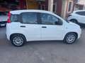 Fiat Panda Fiat Panda 1.2 Easy clima stereo 5 posti Blanc - thumbnail 4