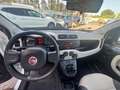 Fiat Panda Fiat Panda 1.2 Easy clima stereo 5 posti Blanc - thumbnail 13