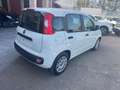 Fiat Panda Fiat Panda 1.2 Easy clima stereo 5 posti Blanc - thumbnail 5