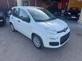 Fiat Panda Fiat Panda 1.2 Easy clima stereo 5 posti Blanc - thumbnail 3