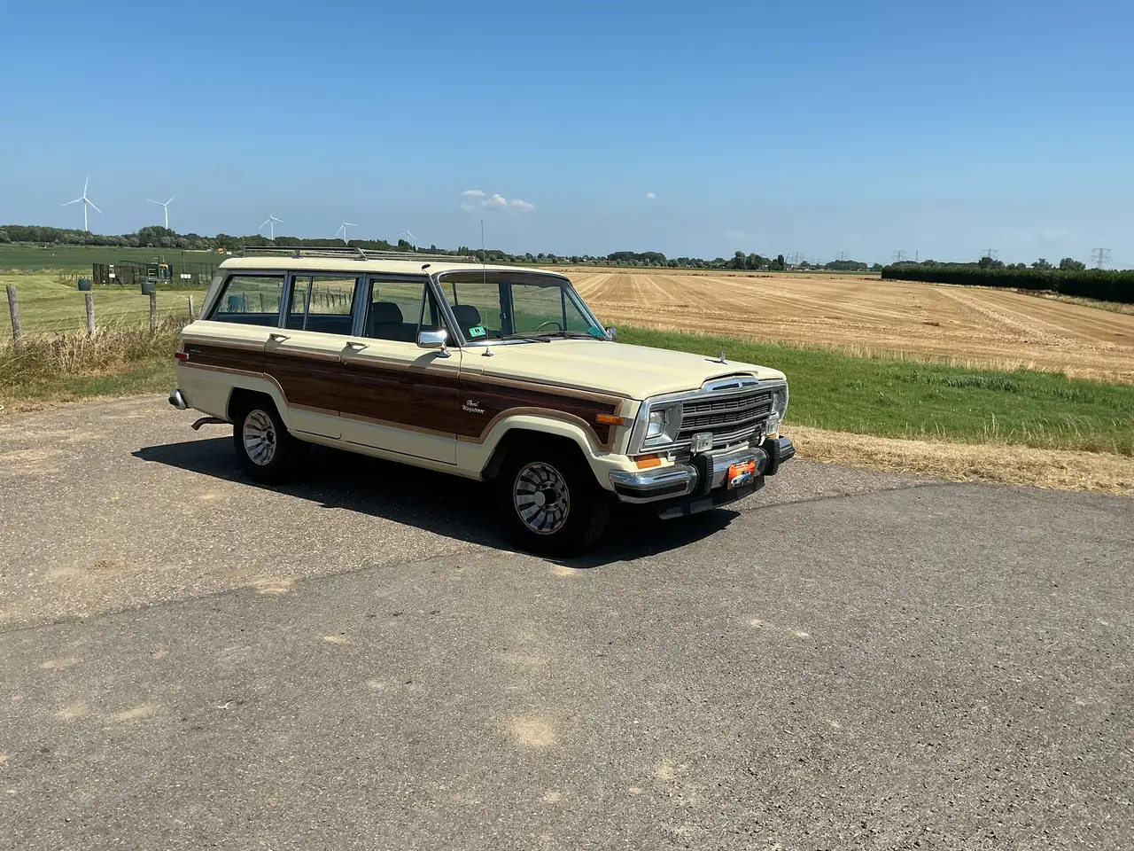 Jeep Wagoneer Wagon 4x4, foto 4