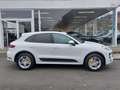 Porsche Macan 3.0 V6 S PDK T.PANO PNEUMATIQUE ECHAPPEMENT SPORT Wit - thumbnail 5