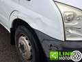 Ford Transit 2.2TDCi Ribaltabile Trilaterale Gemellato TL0561 Blanc - thumbnail 32