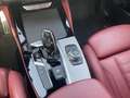 BMW X4 xDrive20d G02 B47 Rot - thumbnail 13