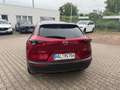 Mazda CX-30 5WGN 2.0L e-SKYACTIV X 186ps 6AT FWD Homura Rouge - thumbnail 6