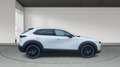 Mazda CX-30 2025 2.5 e-SKYACTIV G MHEV 140CV 6MT FWD HOMURA Weiß - thumbnail 6