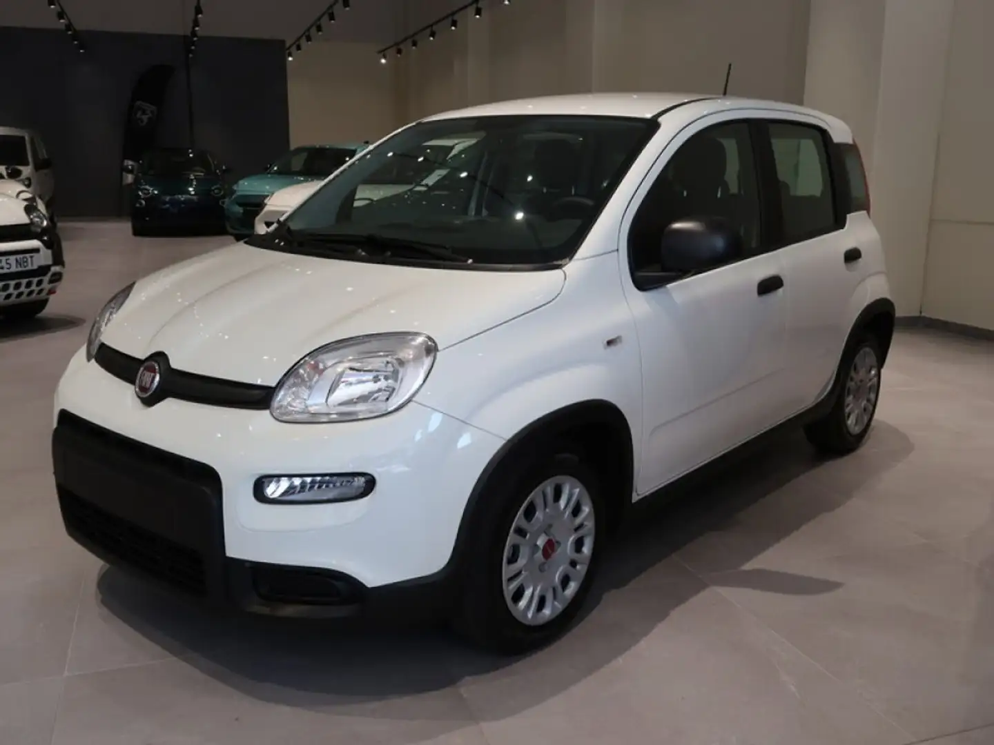Fiat Panda 1.0 Hybrid 51 KW (70 CV) My 24 Blanco - 2