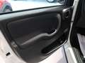 Fiat Panda 1.0 Hybrid 51 KW (70 CV) My 24 Blanco - thumbnail 16