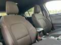 Ford Focus ST LINE - 1.0 Flexifuel mHEV - 125 S\u0026S - Garantie 36 mois Blu/Azzurro - thumbnail 14