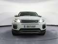 Land Rover Range Rover Evoque 2.0TD4 Pure 4WD Aut. 150 Blanc - thumbnail 18