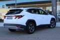Hyundai TUCSON 1.6 T Maxx Bianco - thumbnail 6