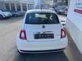 Fiat 500 1.0 Club, Klima, ESP, Temp., eFH, Zv m.FFB Weiß Weiß - thumbnail 5